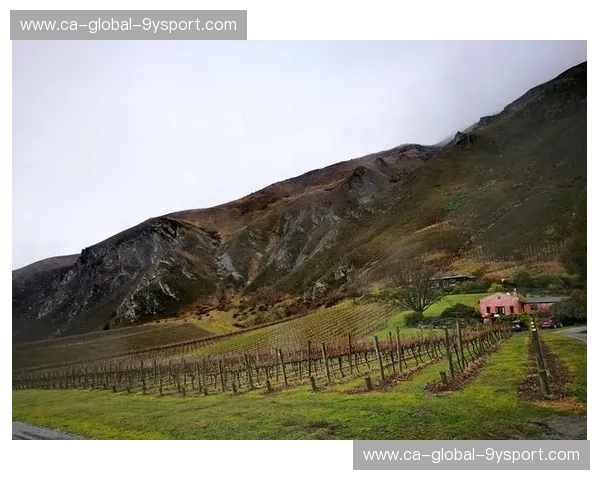 跨越赤道的巅峰之战:当自由女神遇见潘帕斯雄鹰,谁才是美洲大陆的终极梦想?